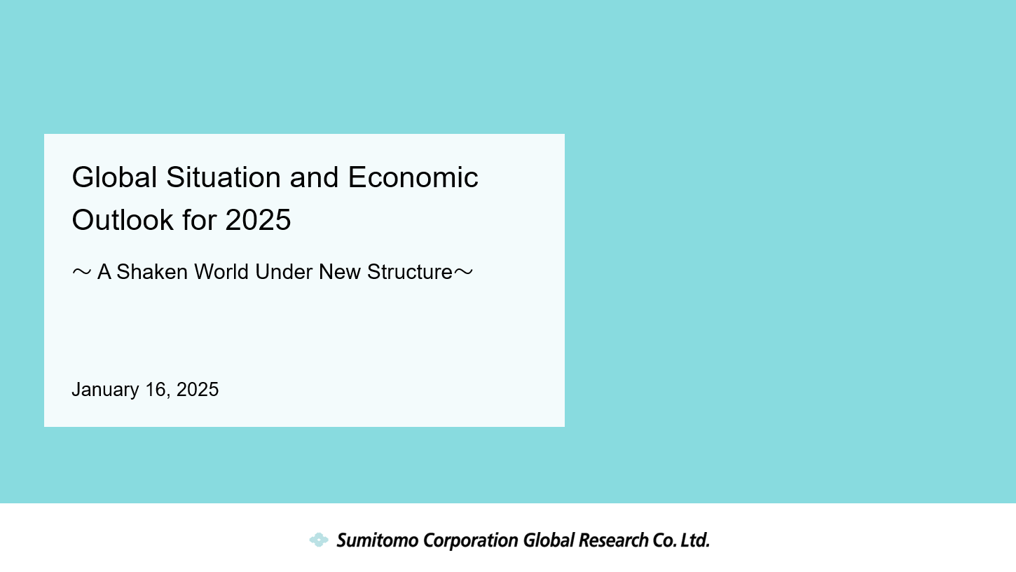 Global Situation and Economic Outlook for 2025