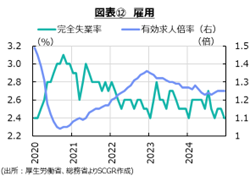 図表⑫　雇用